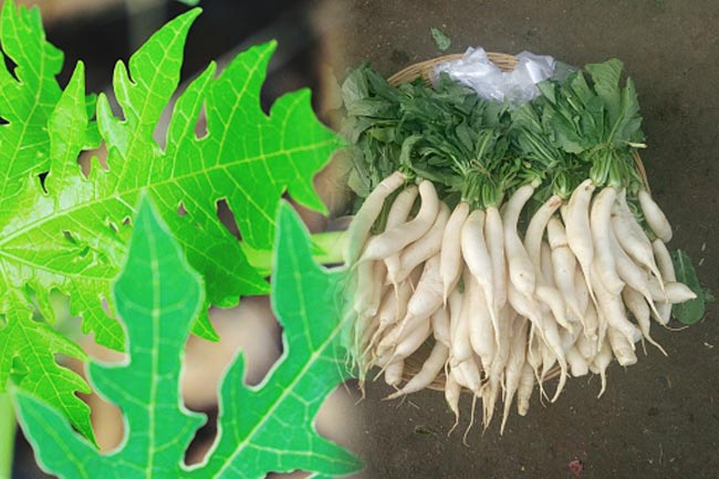 मूली और पपीते के पत्तों का सेवन करें