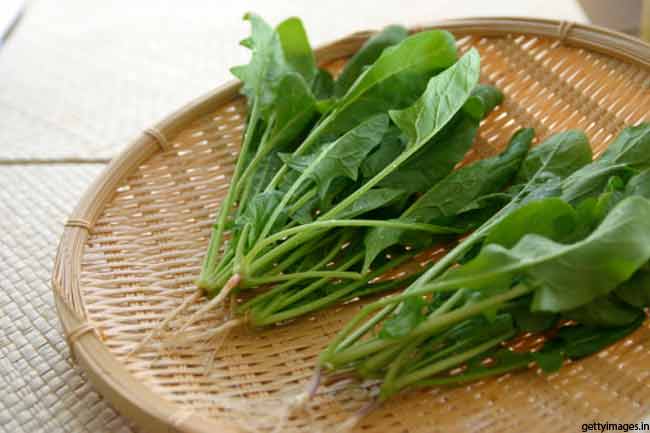 पालक