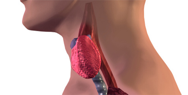 हाइपरथायरायडिज़्म hyperthyroidism in hindi