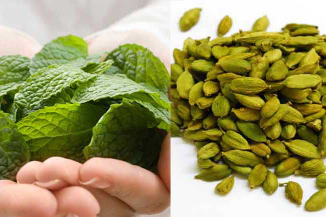 पुदीना और इलायची