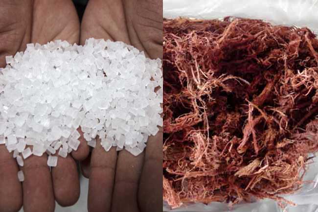 मिश्री कत्था