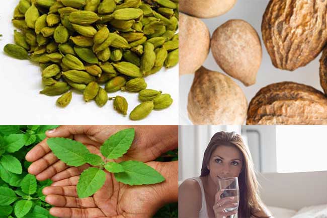सेहतमंद आयुर्वेदिक दोहे