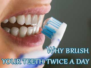 Why brush your teeth twice a day