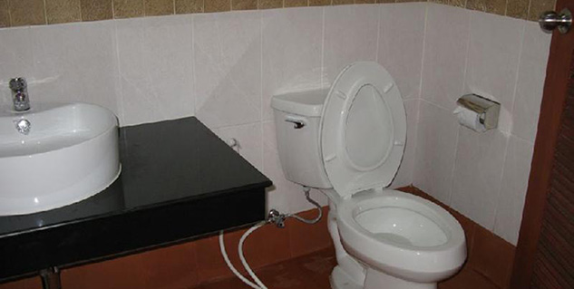 toilet