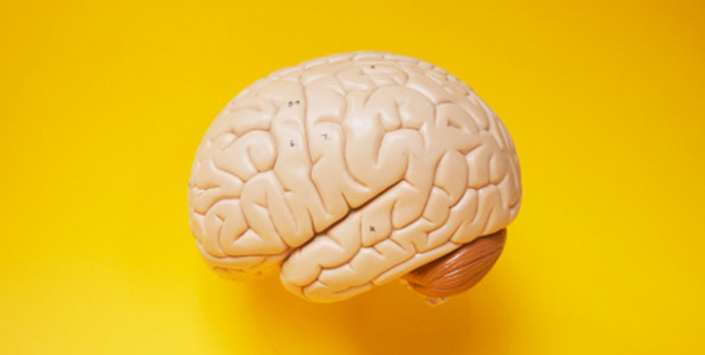 Natural Memory Boosters Natural Memory Boosters