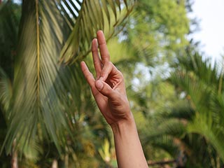 ज्ञान मुद्रा