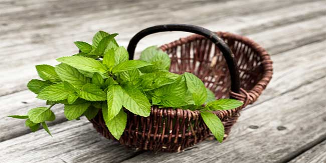 Ayurvedic treatment for chikungunya