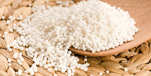 People Eat Sago During Fast Is It A Non Vegetarian Diet In Hindi 