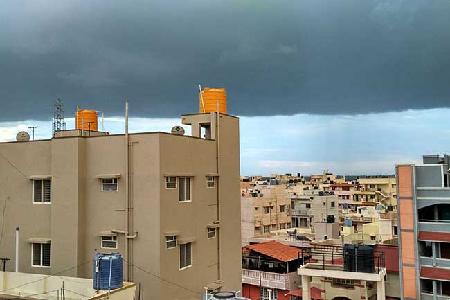 घरों की टंकी में सबसे ज्यादा पैदा होते हैं