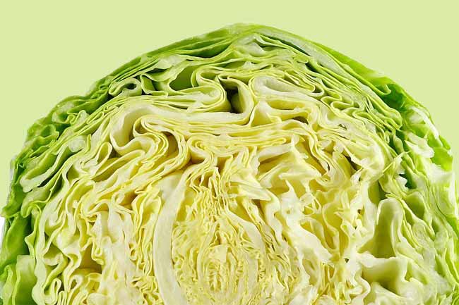 Cabbage and peepal leaves