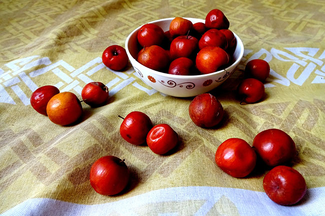 खट्टा-मीठा बेर