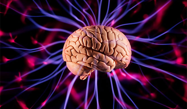 डिप्रेशन को दूर कर मेमोरी पॉवर बढ़ाता है ये 1 ड्राई फ्रूट