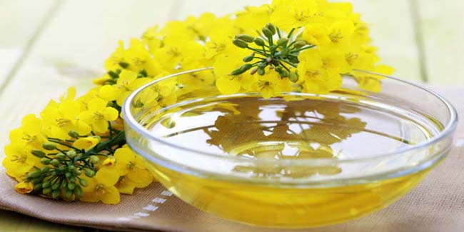 ब्रेन ट्यूमर का कारण बन रहा है आपका ये किचन आॅयल!