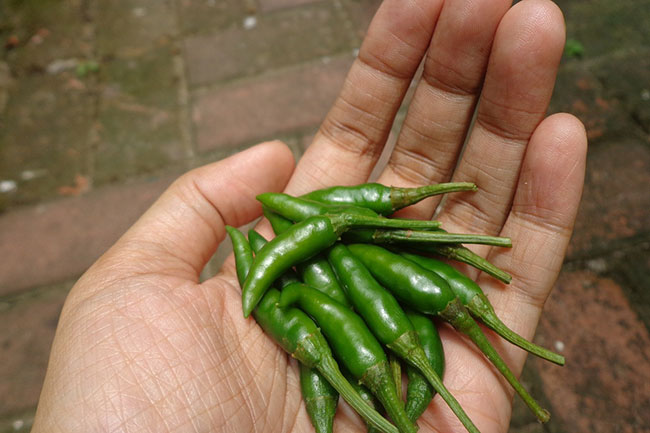 पोषक तत्वों से है भरपूर