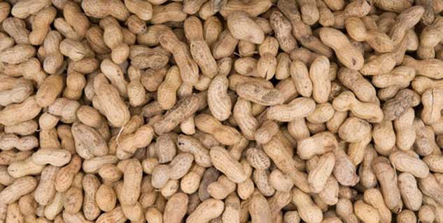peanuts