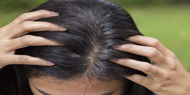 जवानी ही नहीं, बालों को बुढ़ापे तक काला रखती हैं यें पत्तियां, जानें कैसे?