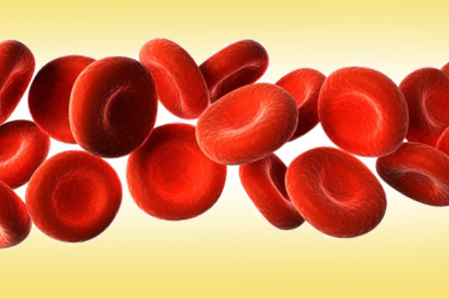 Purifies blood