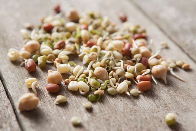 Seeds and Sprouts