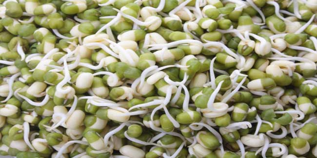 कच्चा स्प्राउट्स है जानलेवा! जानें इसके 5 खतरे