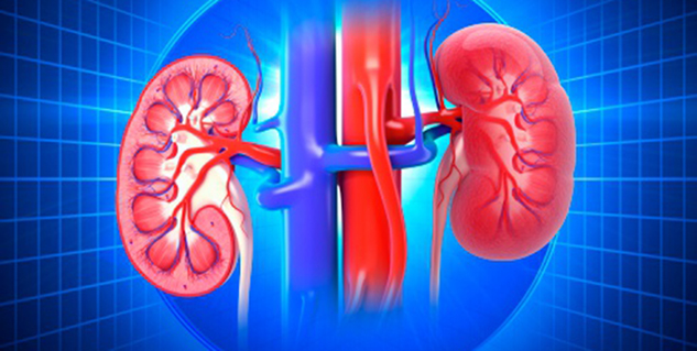 walking-could-be-key-step-against-kidney-disease-in-hindi