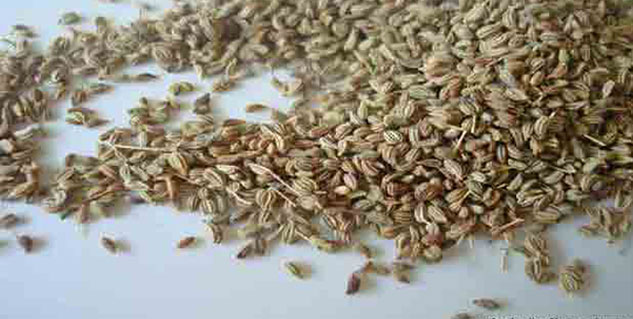 ajwain in hiindi