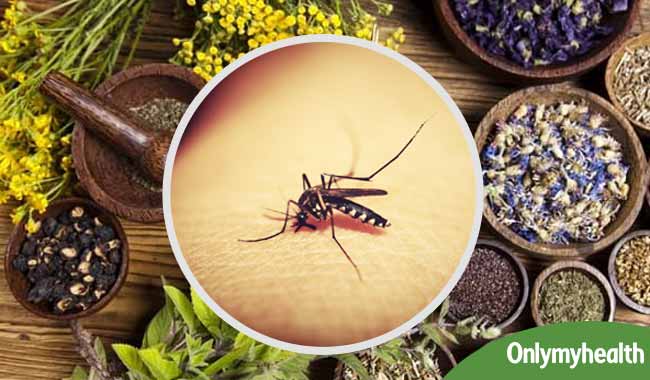A new Ayurvedic Drug can help treat Dengue