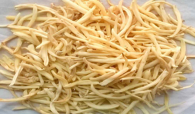 ठंड में बॉडी को गर्म रखती है सफेद मूसली, रक्तचाप और गठिया रोग में है लाभदायक