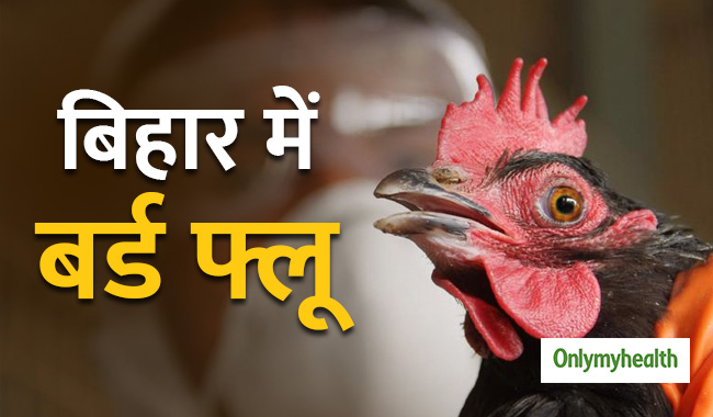 बर्ड फ्लू से बिहार में हो रही हैं कई मौत, यूपी और दिल्ली के लोग ऐसे बरतें सावधानी