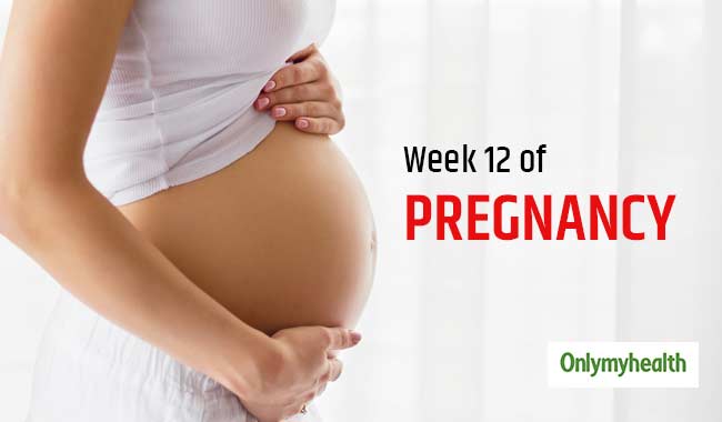 Pregnancy Week 13 - Pregnancy Week by Week Development
