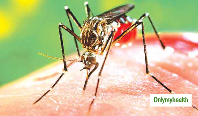 Dengue is Fatal in Less than One Per Cent Cases