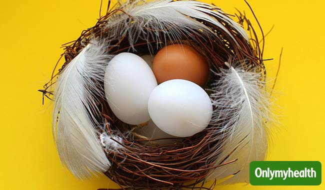 सफेद या ब्राउन? जानें कौन सा अंडा आपके लिए है ज्यादा फायदेमंद