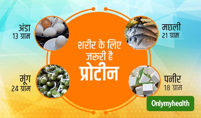 प्रोटीन के इन 4 स्त्रोत के बारे में आपने कभी नहीं सुना होगा, फायदे कर देंगे हैरान