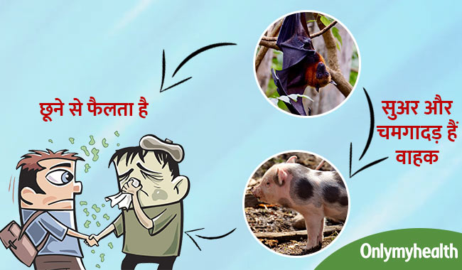 जानें कितना खतरनाक है निपाह वायरस, संक्रमण के लक्षण और बचाव के टिप्स