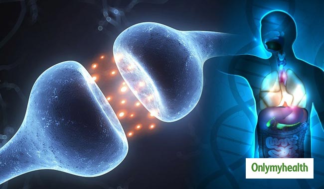 हॉर्मोनल असंतुलन के लक्षण क्या हैं और इन्हें संतुलित कैसे करें?