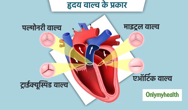 ह्रदय के वाल्व में है खराबी तो नियमित कराएं रक्त की जांच, जानें एक्टपर्ट टिप्स