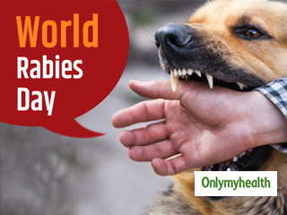 Animal Bite can cause Rabies: Know symptoms and treatment