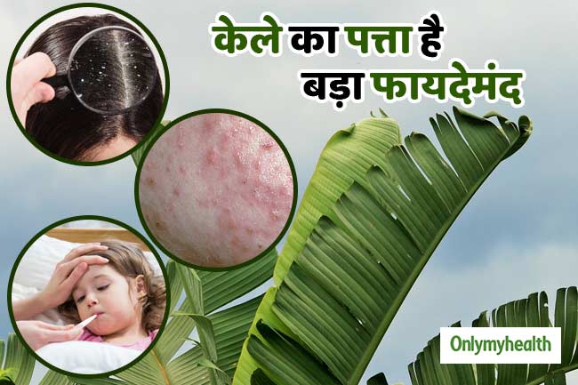 त्वचा, बालों और कई समस्याओं में फायदेमंद है केले का पत्ता