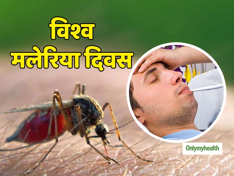 World Malaria Day: तेज बुखार, सिरदर्द और पसीना आना मलेरिया के हैं संकेत, एक्सपर्ट से जानें बचाव और उपचार