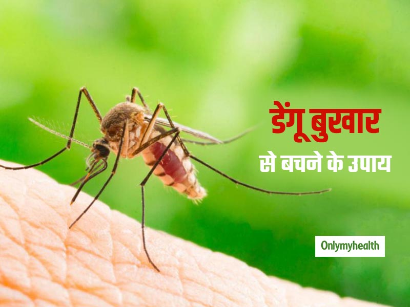 Dengue Prevention: डेंगू से जुड़े इन 10 सवालों के जवाब जरूर जान लें, बच जाएगी मरीज की जान
