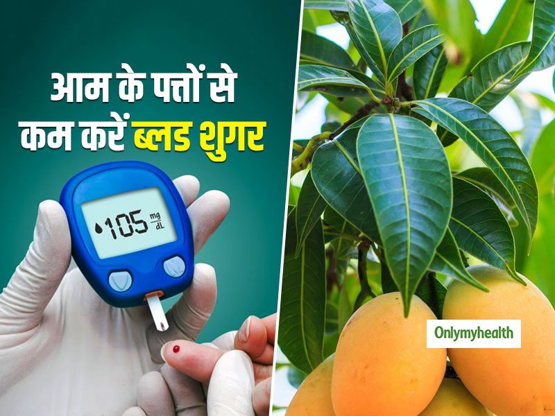 Diabetes Diet: आपके ब्लड शुगर लेवल को तुरंत कंट्रोल करेगा आम के पत्तों से बना ये आयुर्वेदिक काढ़ा, जानें कैसे करें सेवन