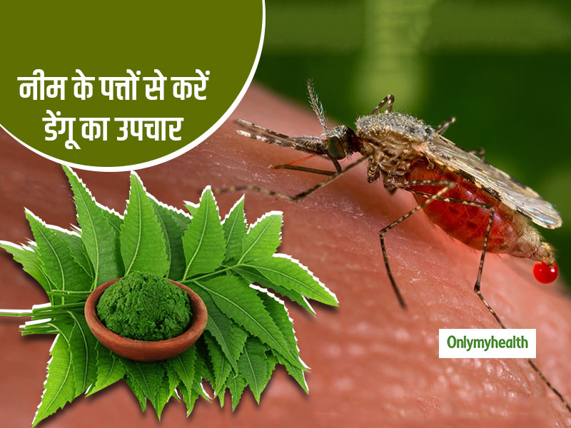 Dengue Fever Prevention: डेंगू बुखार में फायदेमंद हैं नीम के पत्ते का बना काढ़ा, जानें सेवन का तरीका