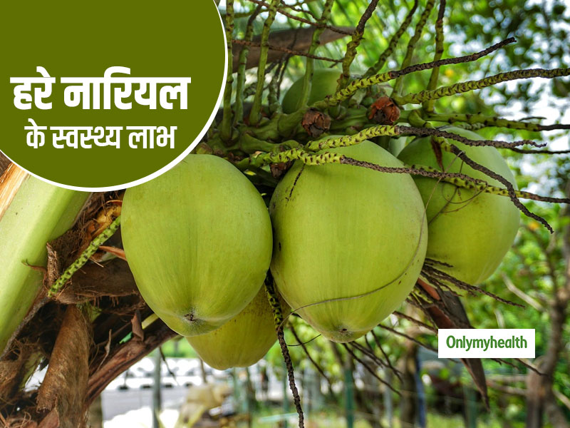 Green Coconut: हृदय और पेट से जुड़ी सभी बीमारियों को खत्म करने में मदद करता है हरा नारियल, जानें इसके सेवन का सही समय