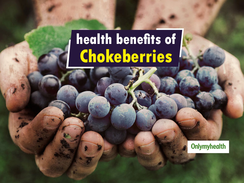Chokeberries: Super Berries to fight Heart Diseases, Digestive Problems and more