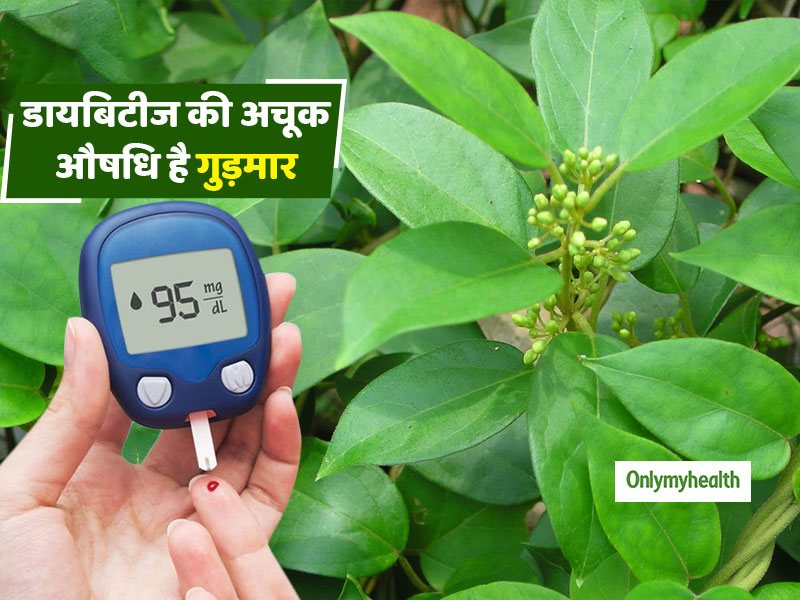 Diabetes Management: जानें क्या है गुड़मार और ये कैसे सही करता है डायबिटीज, पढ़ें पूरी जानकारी