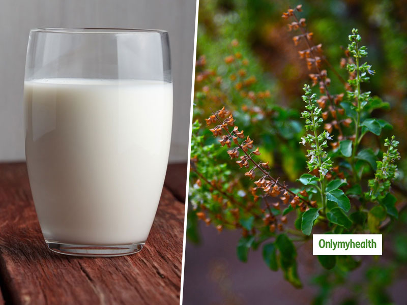 Why Drinking Tulsi Milk Is Good For Your Overall Health?