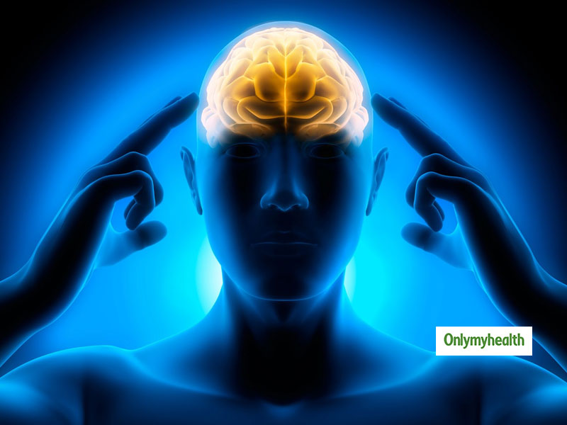 Nutrition for Brain: मेमोरी पॉवर बढ़ाने के लिए जरुरी हैं ये 5 पोषक तत्व, मस्तिष्क को रखते हैं स्वस्थ