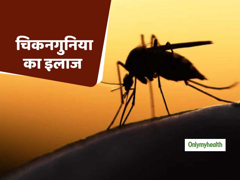 जानें आखिर क्यों चिकनगुनिया को माना जाता है खतरनाक बीमारी, इससे बचाव के टिप्स