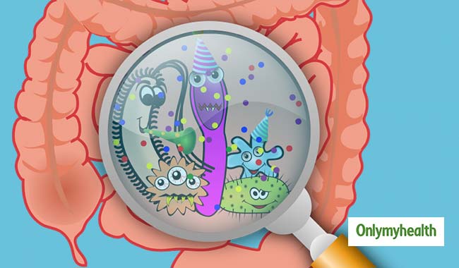 Everything You Need to Know About E. coli