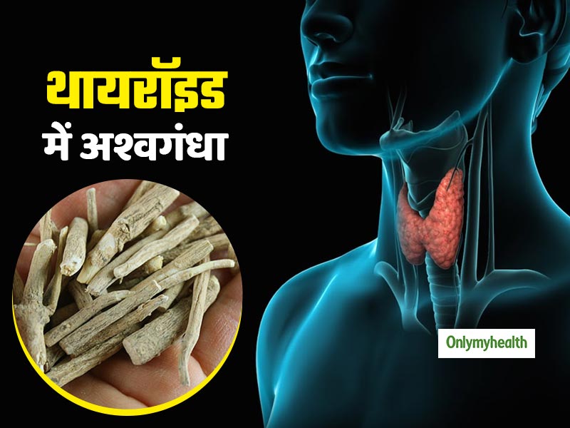क्या सच में थायरॉइड को जड़ से ठीक करता है अश्वगंधा? सेवन से पहले जानें जरूरी सावधानियां