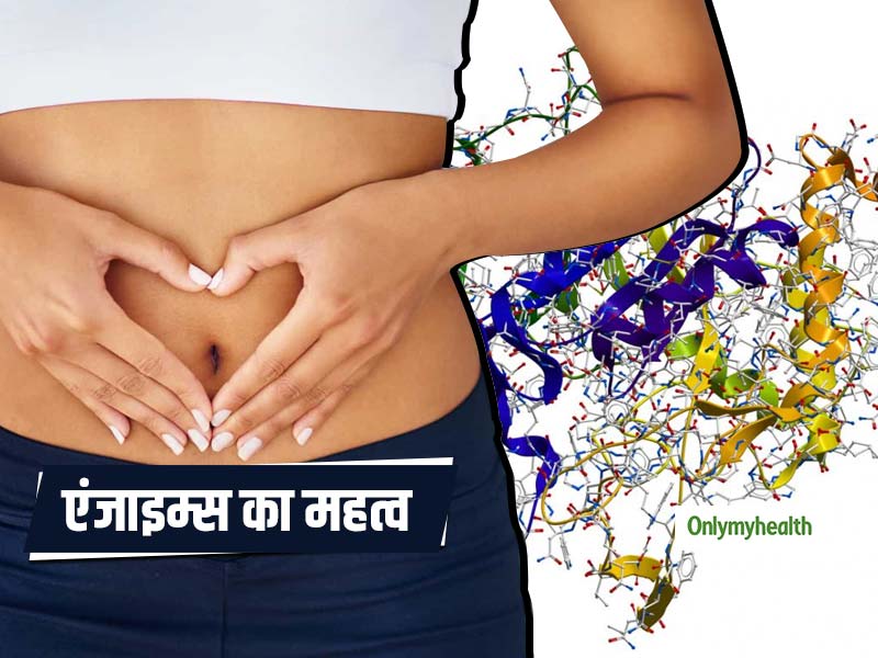 खाना पचाने से लेकर ऑक्सीजन पहुंचाने तक आपकी सेहत के लिए बहुत जरूरी हैं एंजाइम्स, जानें इनका महत्व